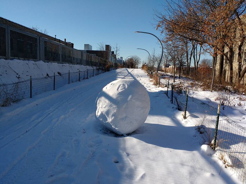 The Bloomingdale Trail last Sunday. Photo: Michael Burton
