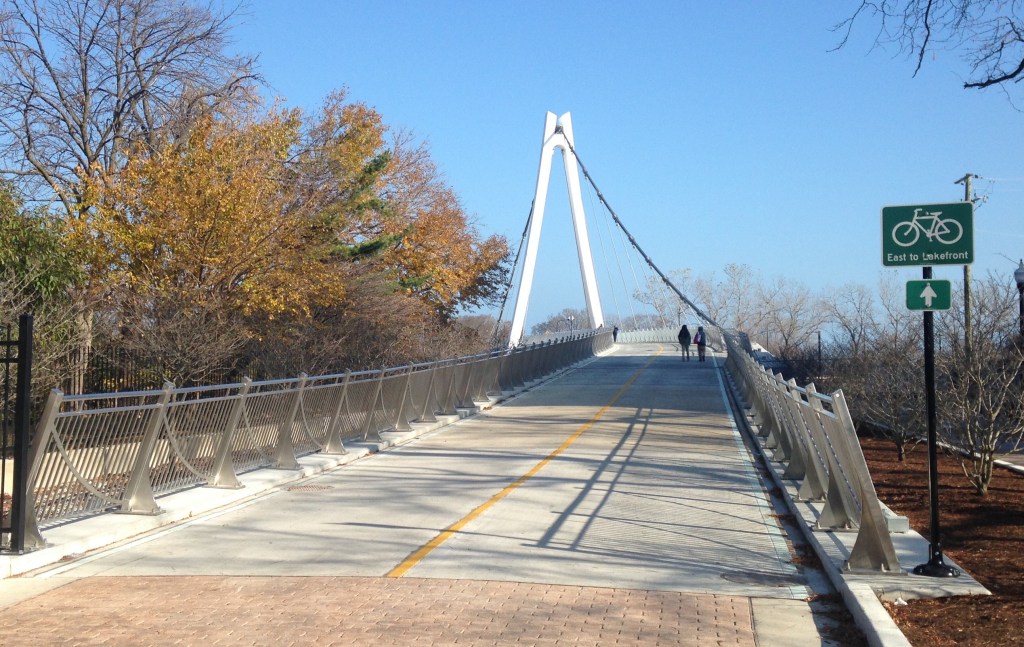 Despite High-Profile Deaths, 2016 Was A Good Year for Chicago Transportation