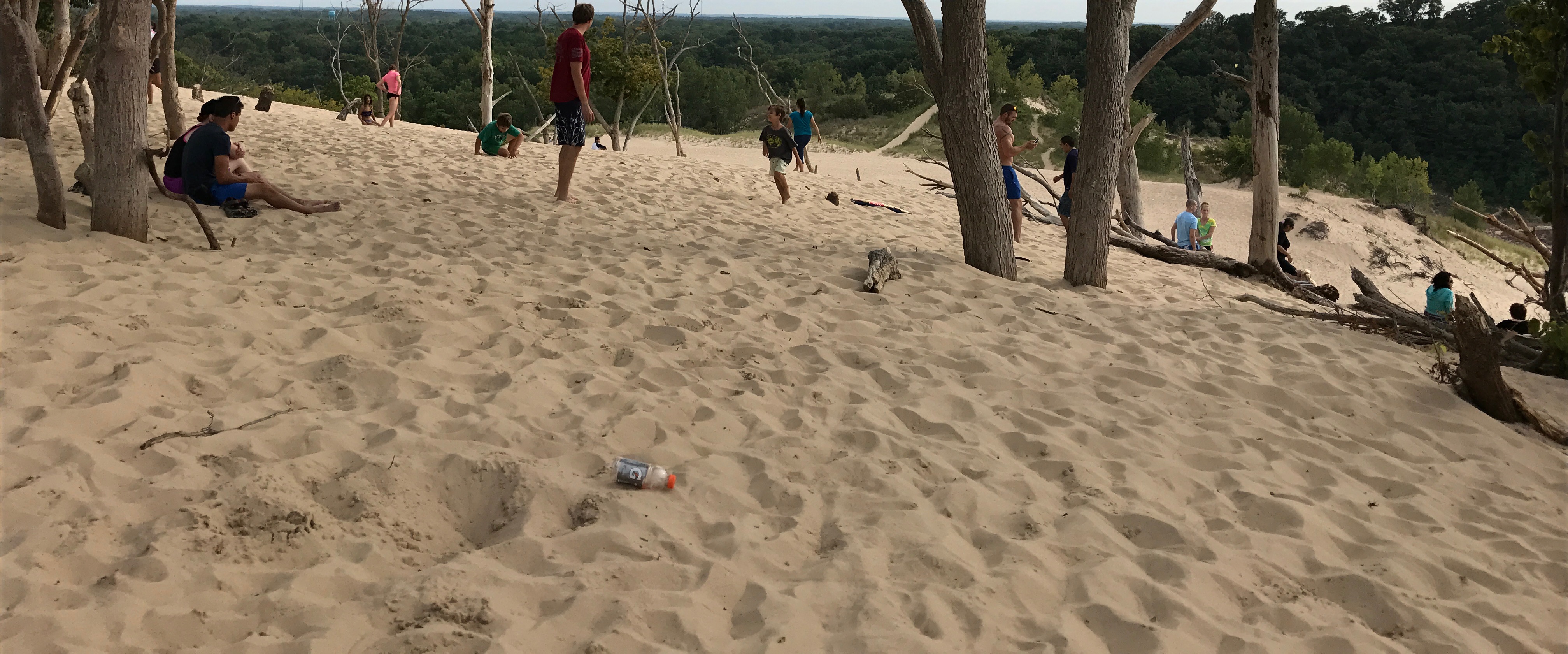 The view from atop a huge mountain of sand in Warren Dunes State Park. Photo: John Greenfield