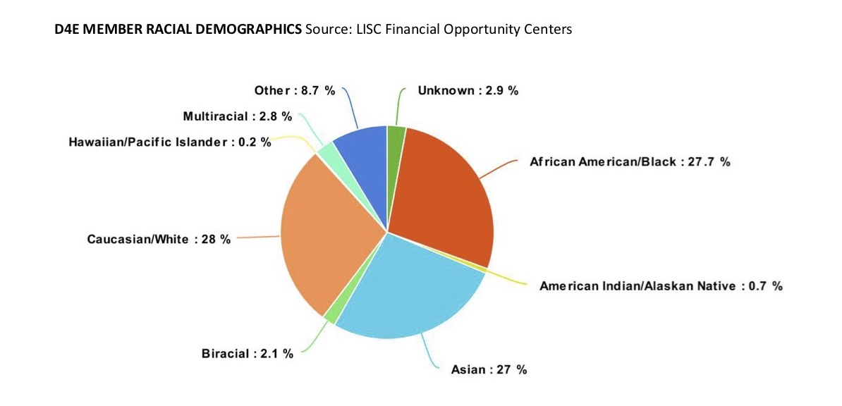 DRAFT Excerpt - D4E Demographics