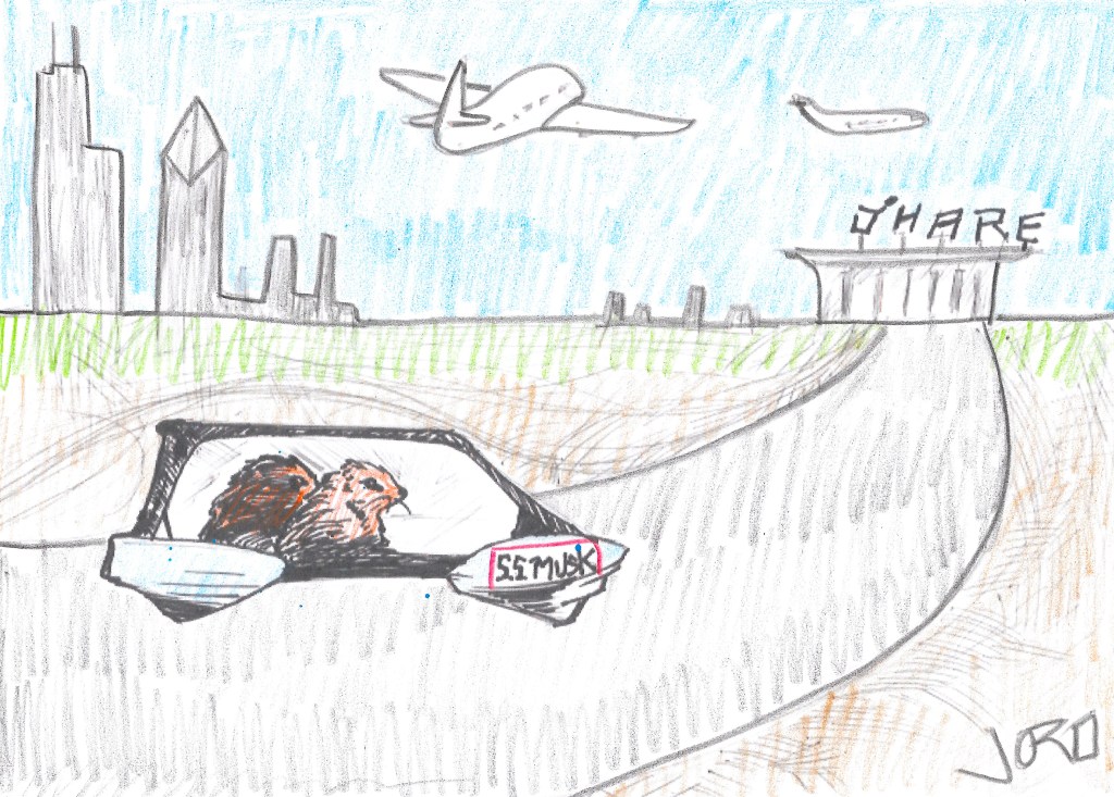 City Announces Competitors for O’Hare Express, Including Noted Transit Hater Elon Musk