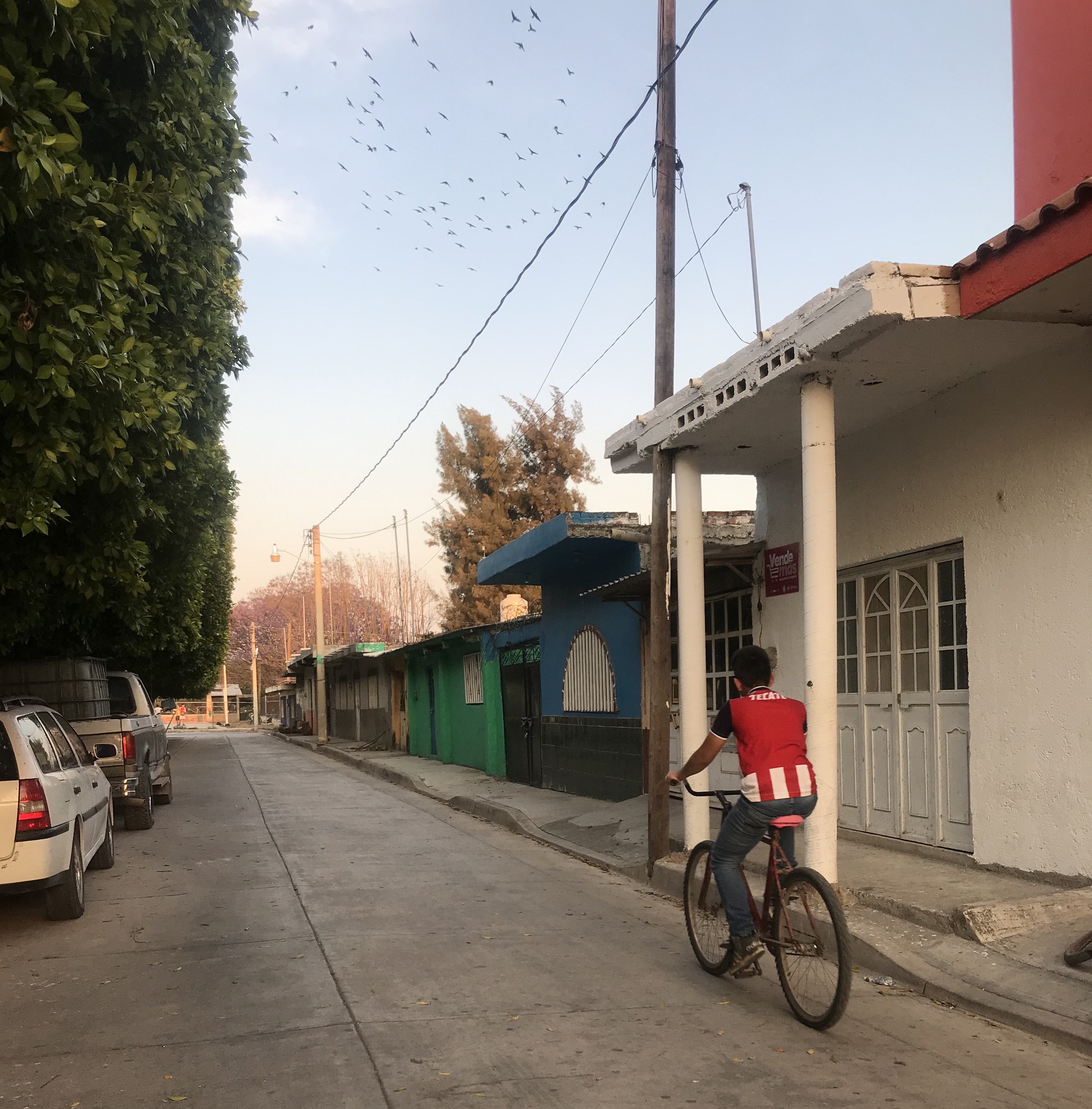 Biking in Los Charos, Michoacan. Photo: Lynda Lopez