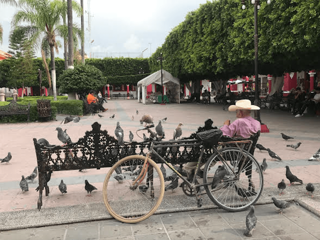 More Thoughts and Images of Biking in Mexico