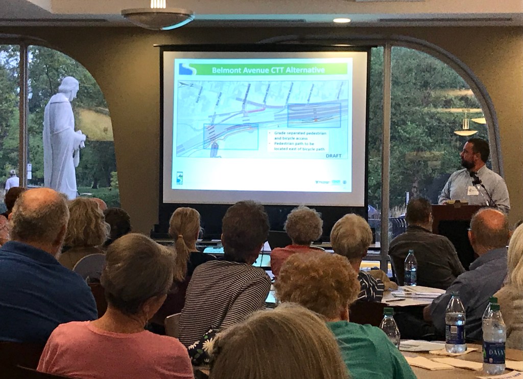 “Leave Briar Alone!”: Lakeview Residents Weigh in on North Lake Shore Drive Plans