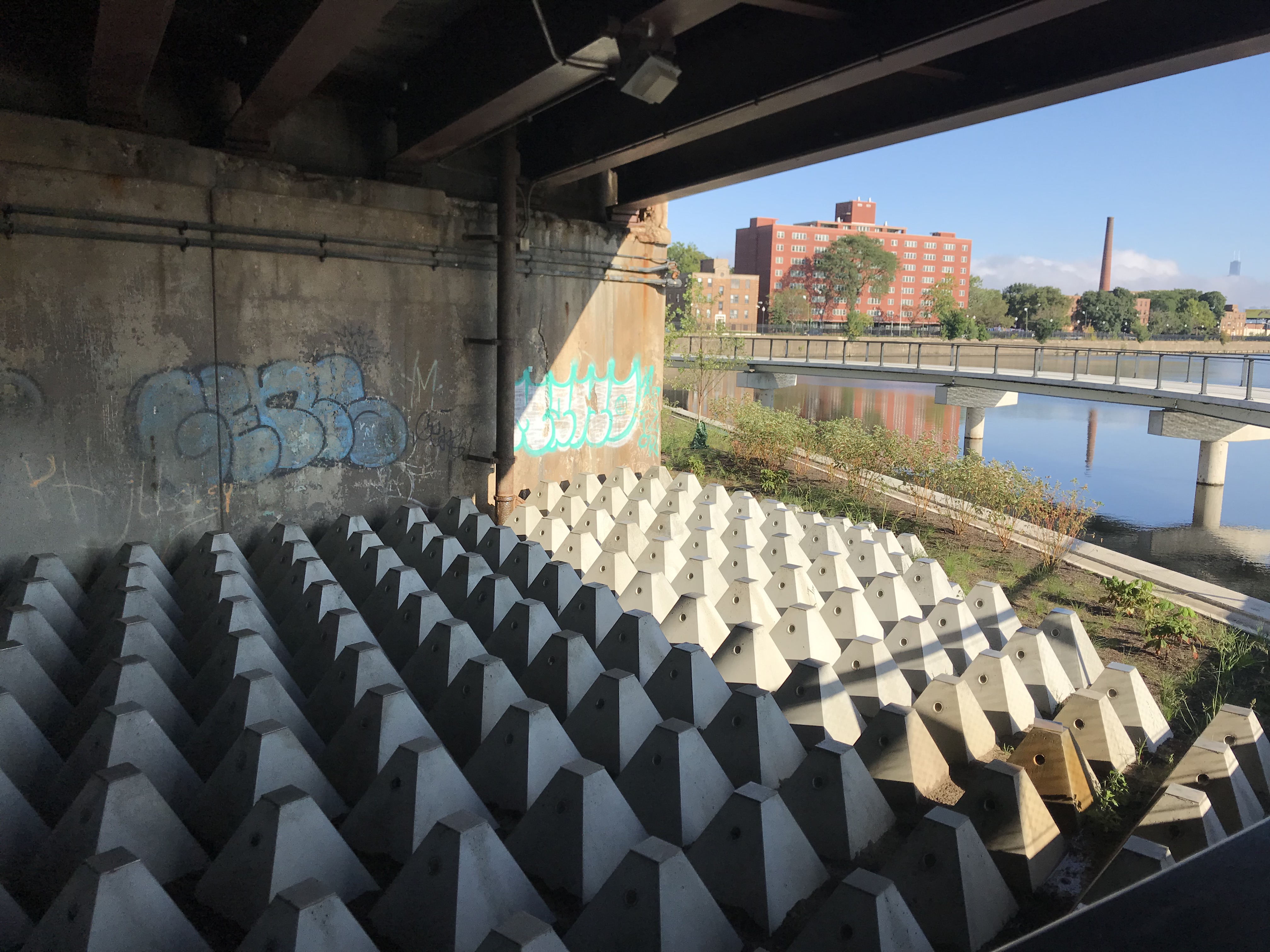 Anti-homeless installation under the Diversey bridge by the new path. Photo: John Greenfield