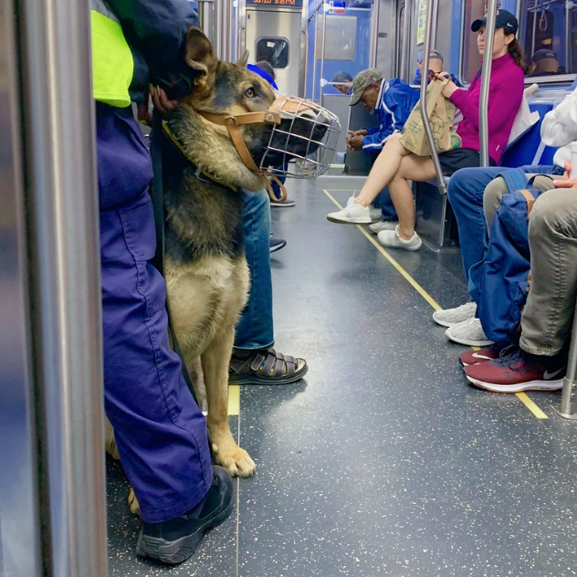 Serious CTA crime is on the rise. How can we fight it beyond using cops and cameras?