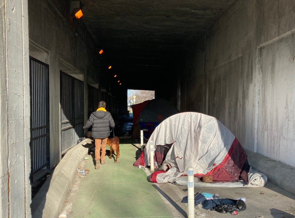 Ald. Cappleman discusses 46th Ward walk/bike projects, and the LSD viaduct issue