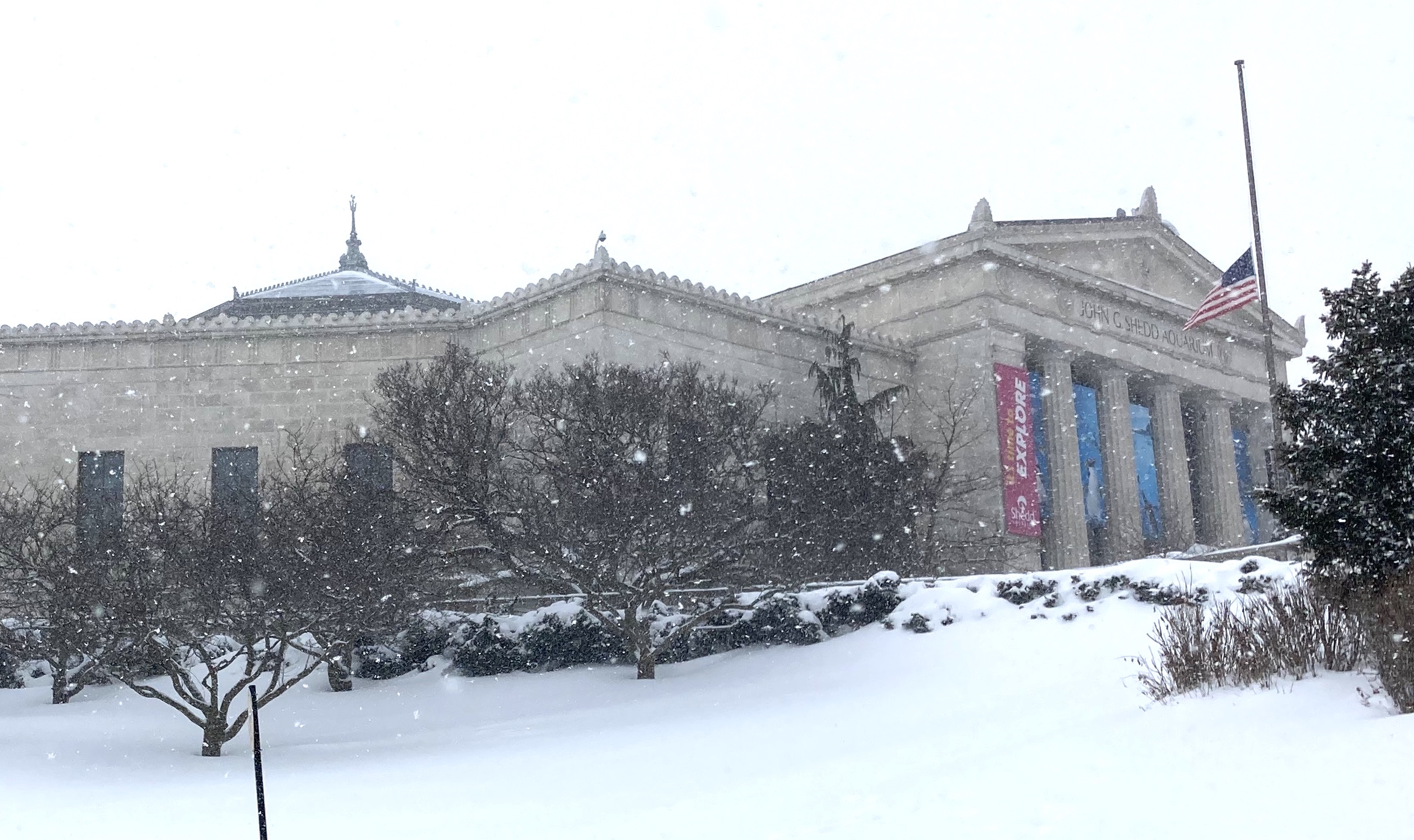 The Shedd Aquarium, as seen during a snowstorm last February. Photo: John Greenfield