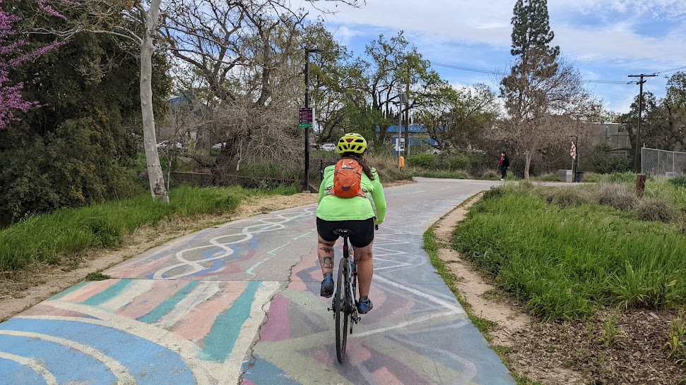 Davis, California: Taking bicycling seriously for 55 years