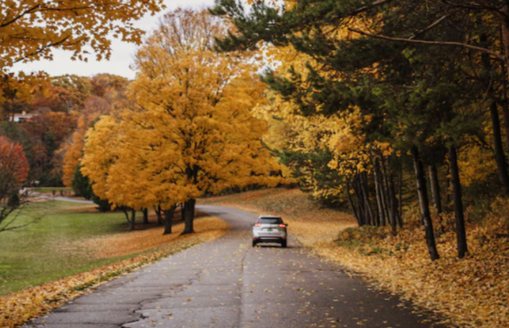 More than 500 People Will Die on Roads This Thanksgiving (But They Don’t Have To)