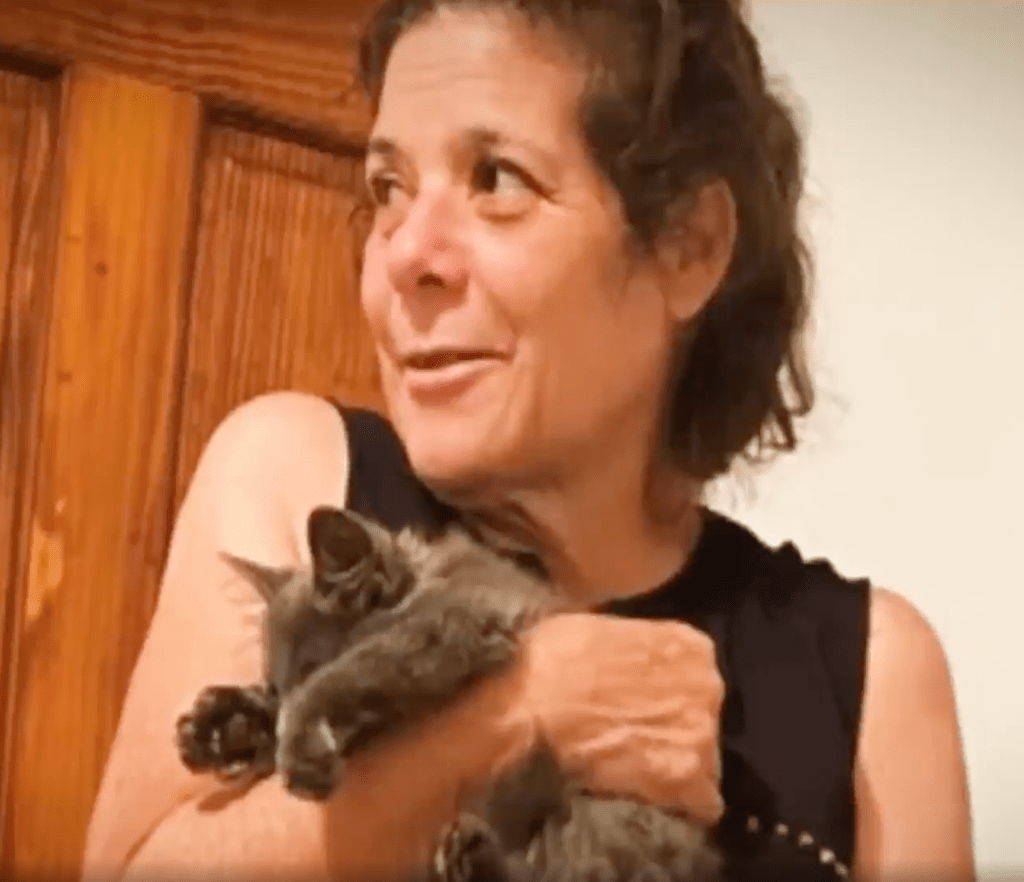 Driver who fatally struck Juana Tapia Lopez, 56, on November 20 in Little Village is still at large