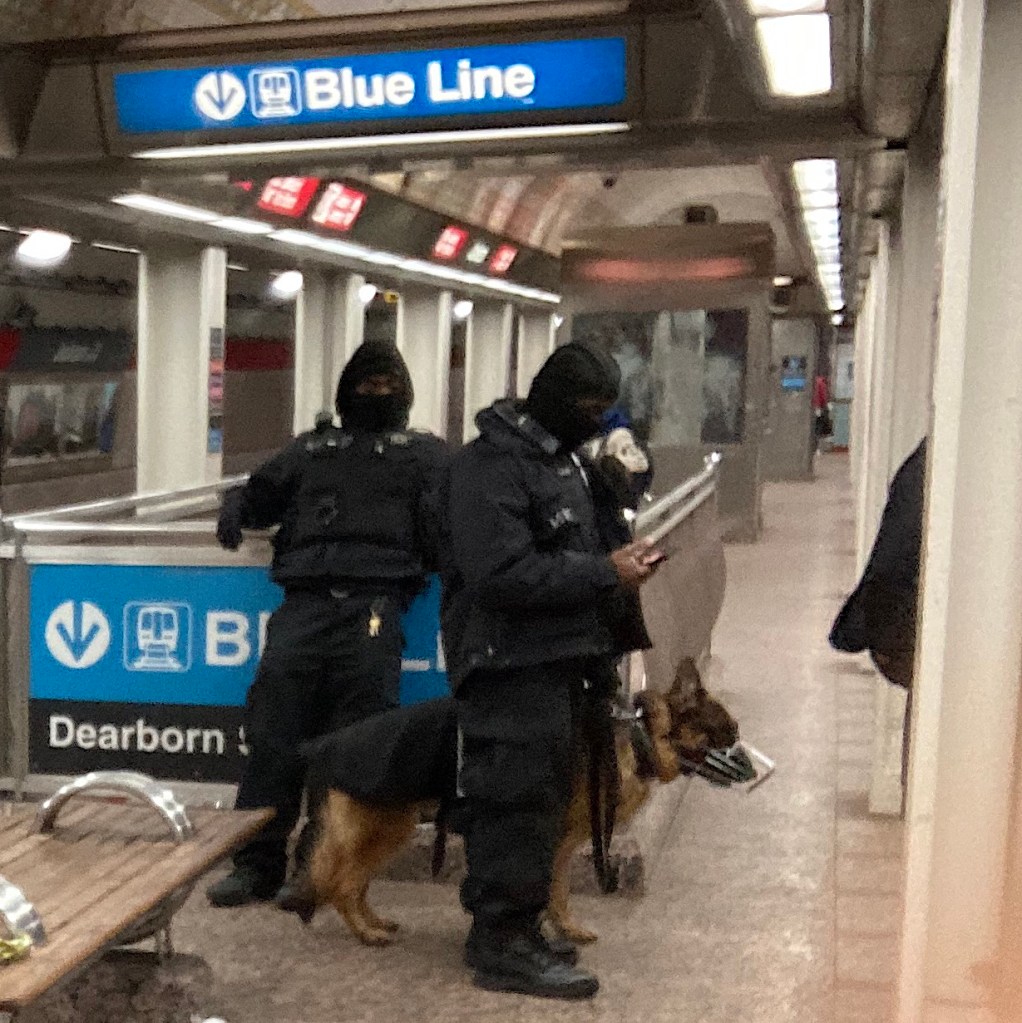 The dogs used for CTA’s $31M K-9 unit contract are basically very expensive decoys