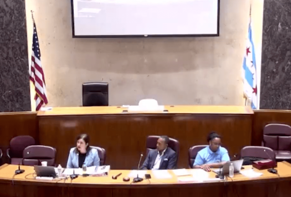 At Council hearing, transit advocates weighed in on the fiscal cliff, and acting CTA prez Leerhsen impressed them with her vision for the system