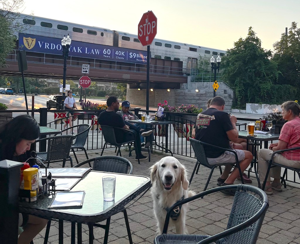 No harm in asking: Illinois Senate President Harmon answers questions about the likelihood of a summer vote on a transit funding bill