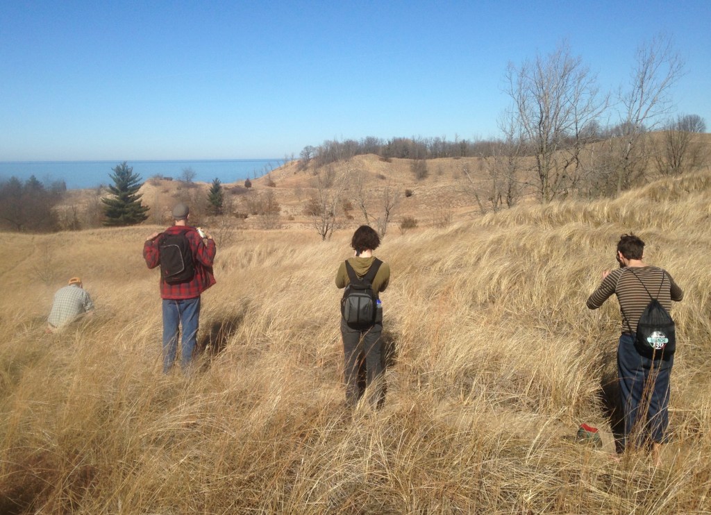 The second edition of “Chicago Transit Hikes” by Lindsay Welbers discusses more great nature trails you can access without driving there