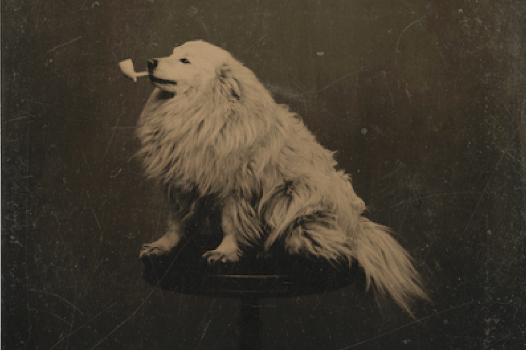 “Streetsblog Chicago versus smoking on the CTA,” part two: A sociology student, a lung health advocate, and a transportation expert share their POVs