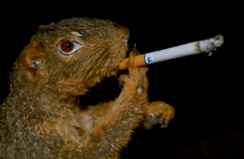 Introducing “Streetsblog Chicago versus smoking on the CTA.” In part one of our series, editors from other cities and our transit agency weigh in.