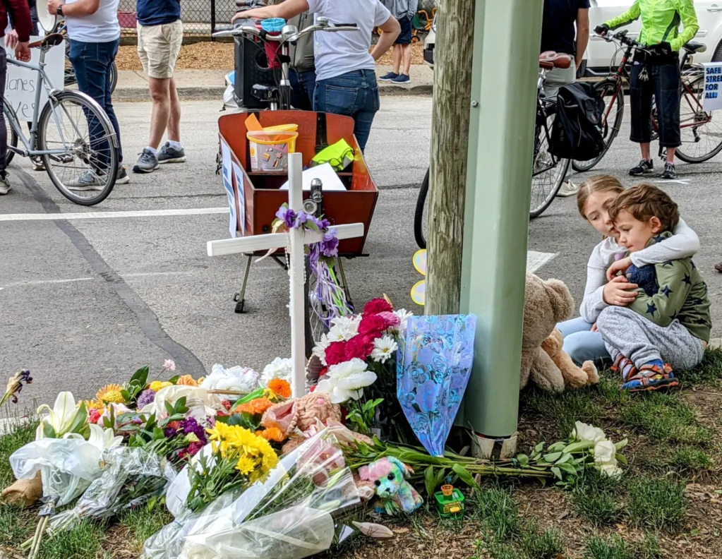 Which alders voted against the ordinance to allow citizens to report bike and bus lane blockage by commercial vehicle drivers?