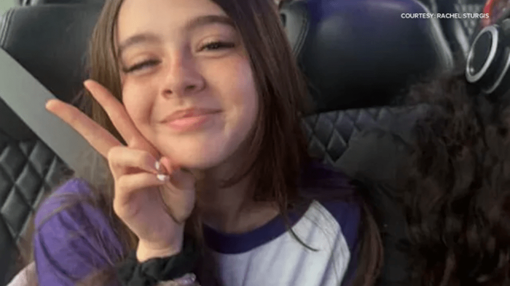 Tragically, a hit-and-run driver fatally struck Violet Harris, 15 on a Lime e-scooter. The crash report provides details on what reportedly took place.